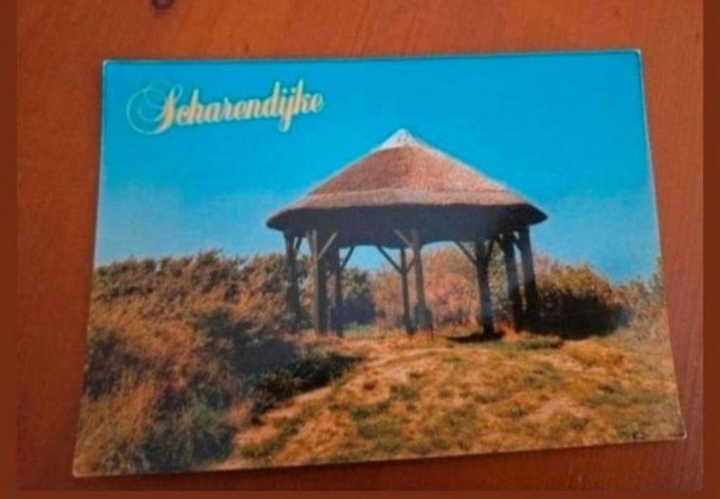 Oude ansichtkaart Scharendijke met rieten prieel, Ophalen of Verzenden, 1960 tot 1980, Ongelopen, Zeeland