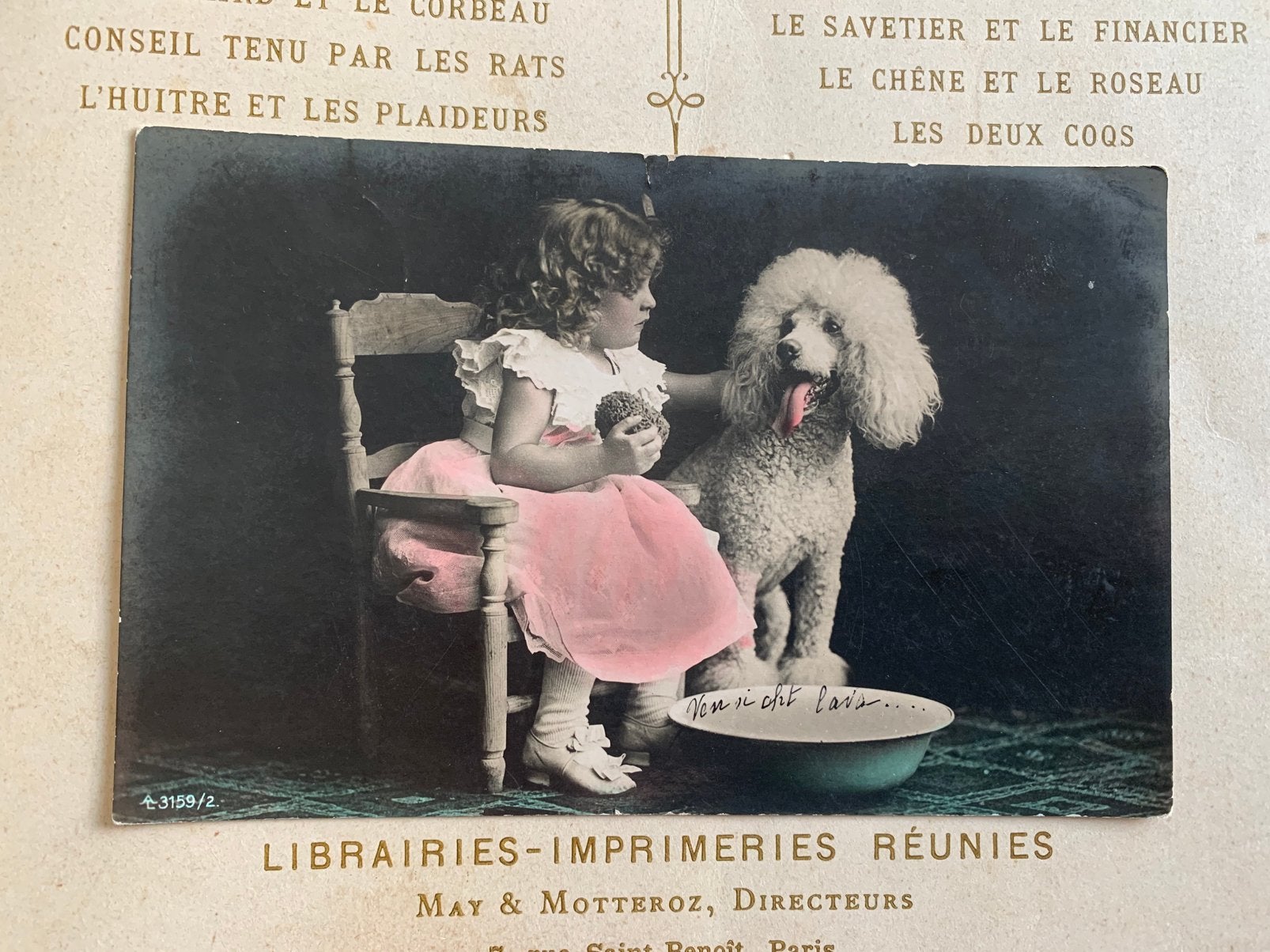 Hond, poedel gaat in bad (IT), Ophalen of Verzenden, Voor 1920, Gelopen, Kinderen
