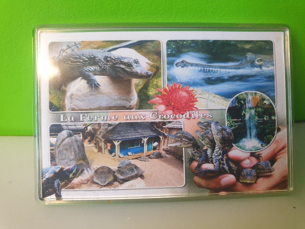Magneet - La Ferme aux Crocodiles - Frankrijk, Ophalen of Verzenden, Zo goed als nieuw
