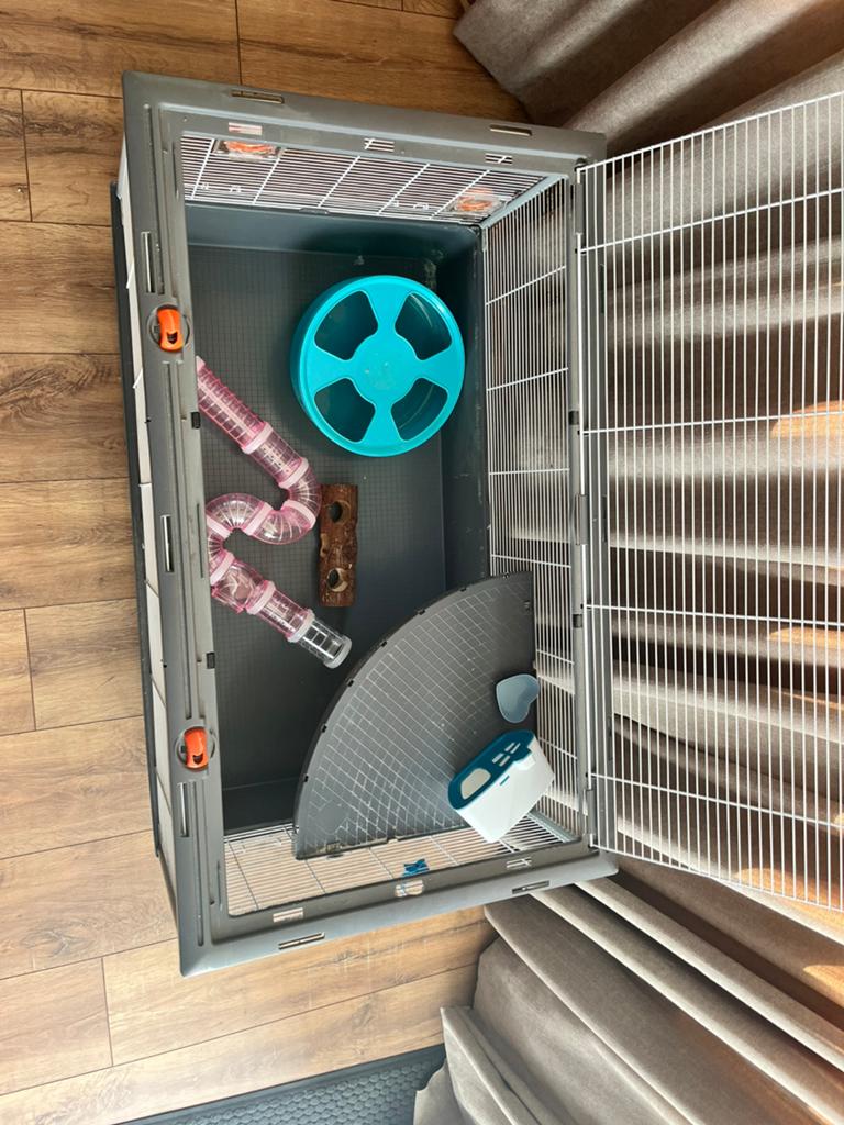 Grote hamsterkooi, Ophalen of Verzenden, Minder dan 75 cm, Kooi, Minder dan 60 cm