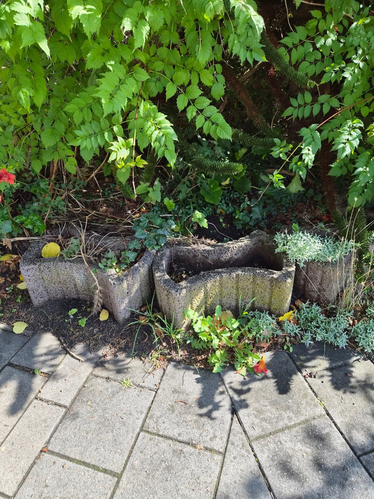15 Betonnen bloembakken voor tuin of terras, Tuin en Terras, Ophalen, Gebruikt, Minder dan 30 cm, Beton