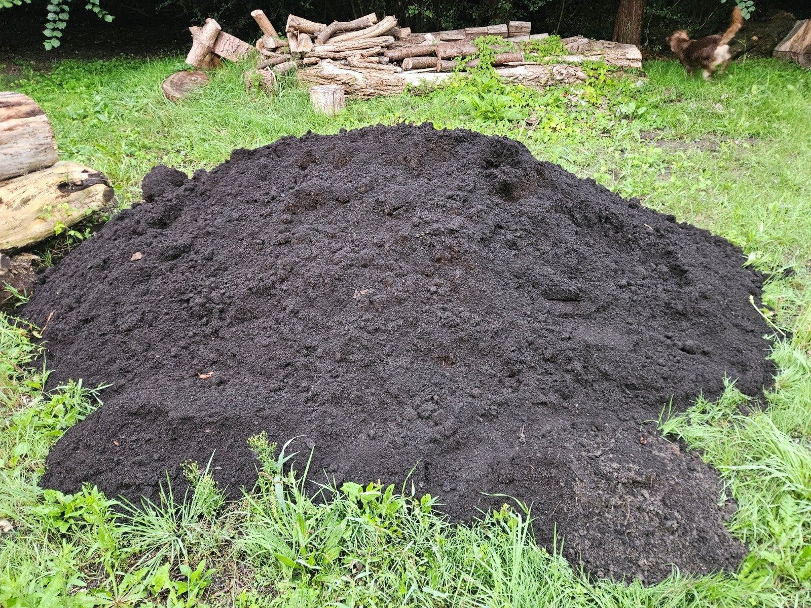 Wormen compost, Ophalen of Verzenden