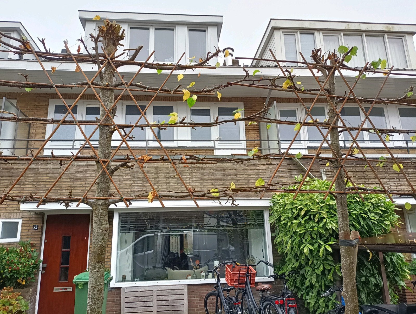 Tuinman aangeboden 
Ervaren tuinman helpt u als u hulp nodig, Ophalen of Verzenden, Nieuw, 20 m² of meer