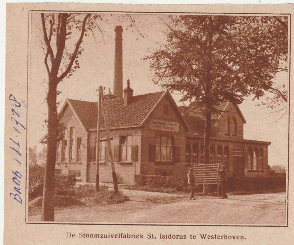 Bergeijk, Luyksgestel, Riethoven etc (N.Br.) - oude knipsels, Ophalen of Verzenden, 1920 tot 1940, Noord-Brabant