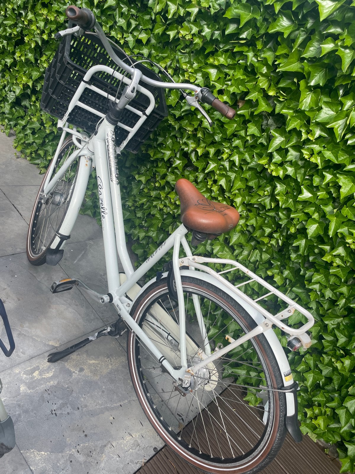 Gazelle damesfiets met voordrager en mand, Ophalen, Terugtraprem, Gazelle, 53 tot 56 cm