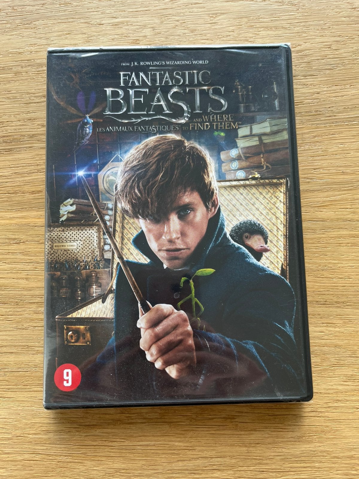 Dvd Fantastic beasts and where to find them nieuw in  folie!, Cd's en Dvd's, Engels, Nederlands, Vanaf 9 jaar, Ophalen of Verzenden