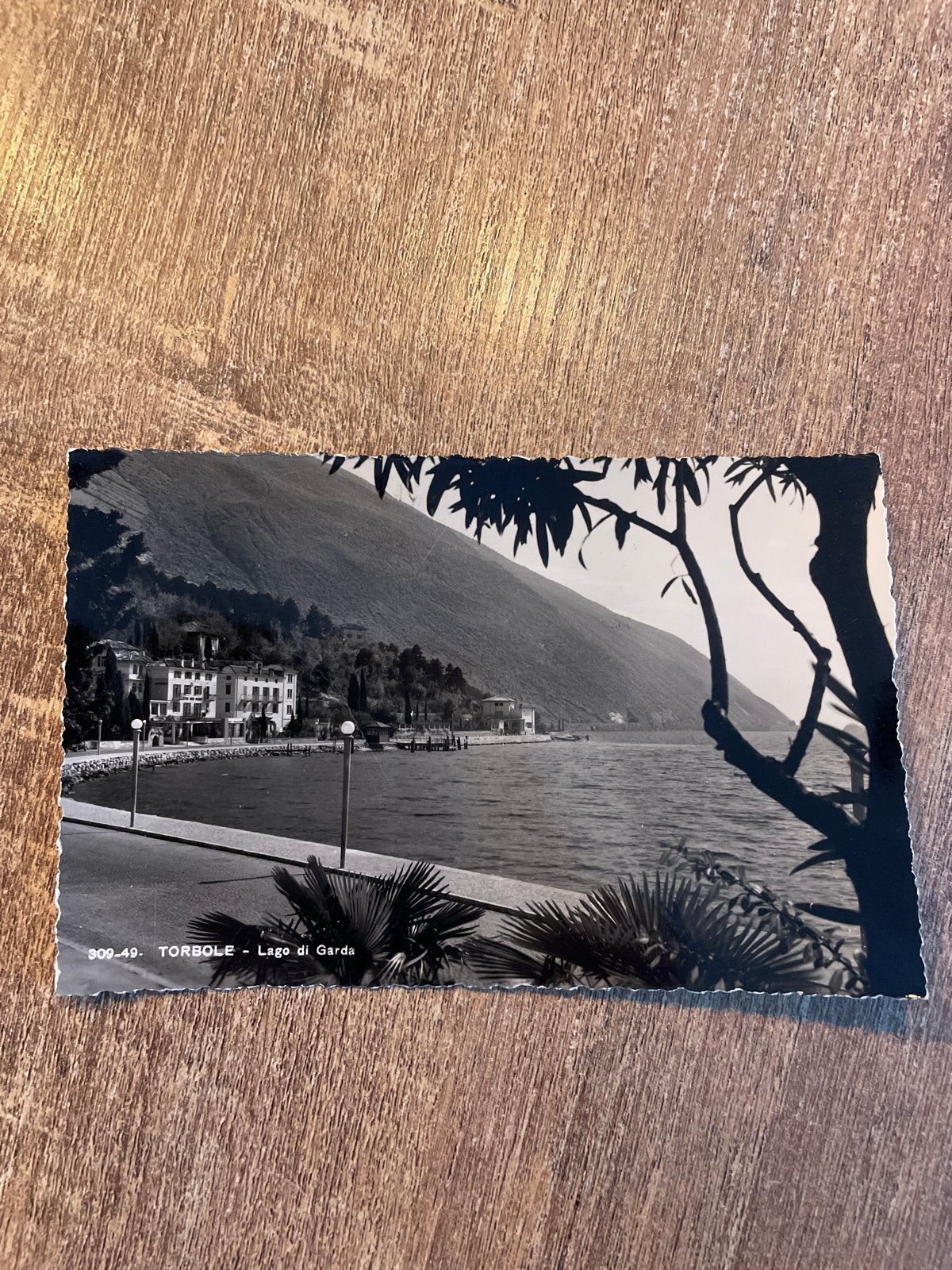Oude ansichtkaart Torbole - Lago di Garda, Italië (Gelopen), Ophalen of Verzenden, 1940 tot 1960, Gelopen, Italië