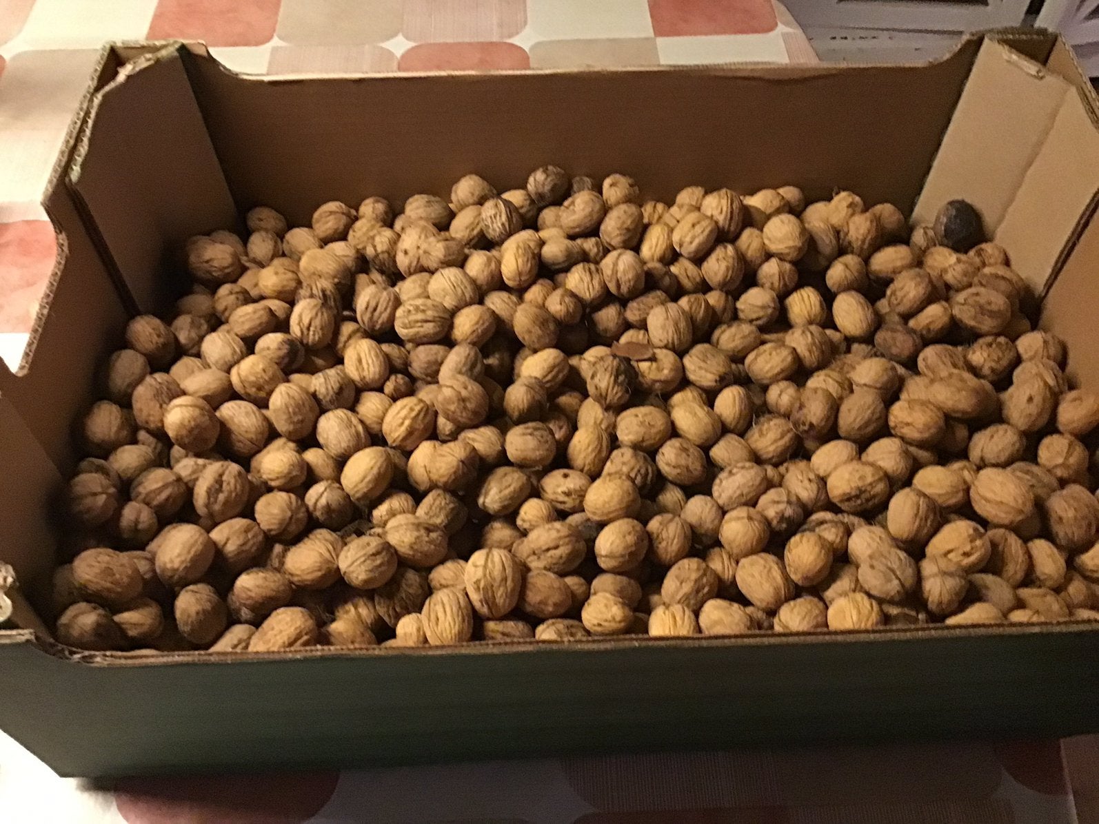 6 kg  verse walnoten ( 2026), Ophalen