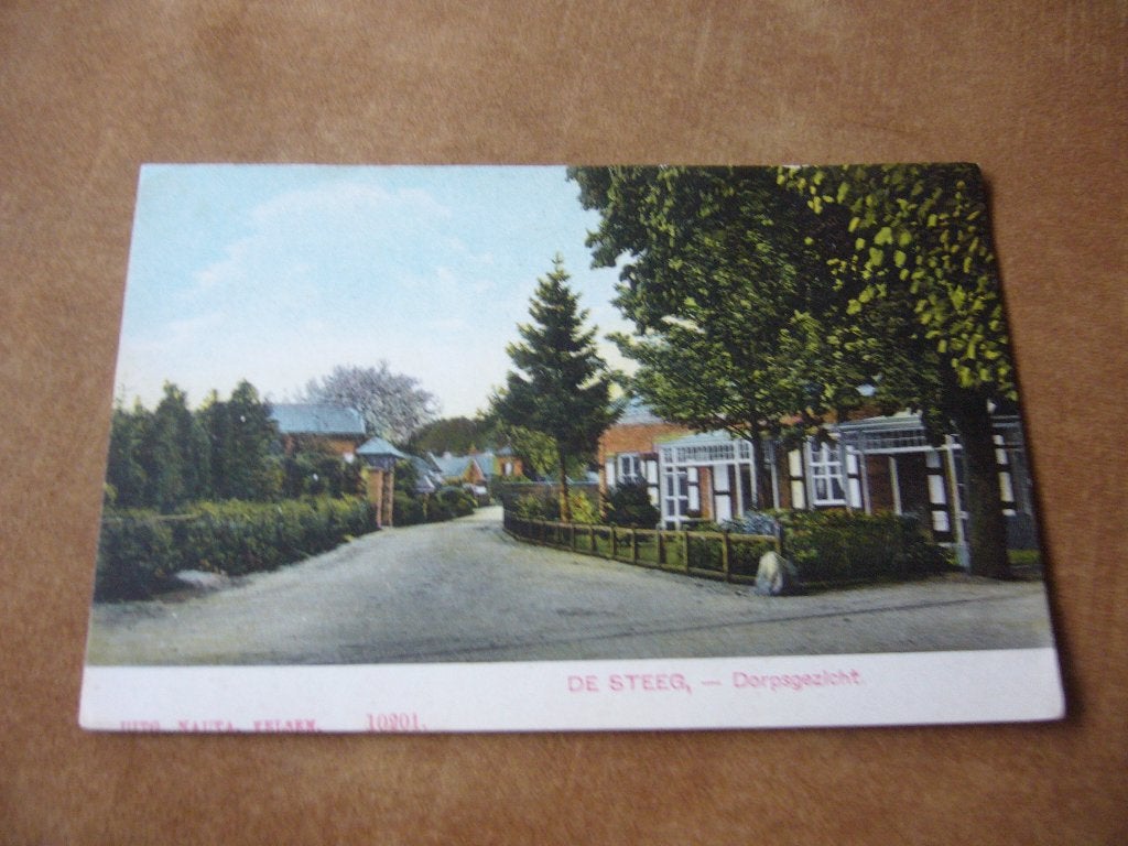 DE STEEG =  DORPSGEZICHT  BRIEFKAART, Verzamelen, Ansichtkaarten | Nederland, Ophalen of Verzenden, Voor 1920, Ongelopen, Gelderland