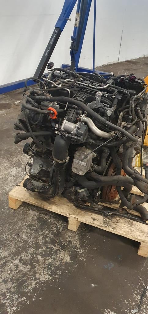 Motorblok Volkswagen Polo 1.6 TDI 2012, Auto-onderdelen, Motor en Toebehoren, Ophalen, Volkswagen
