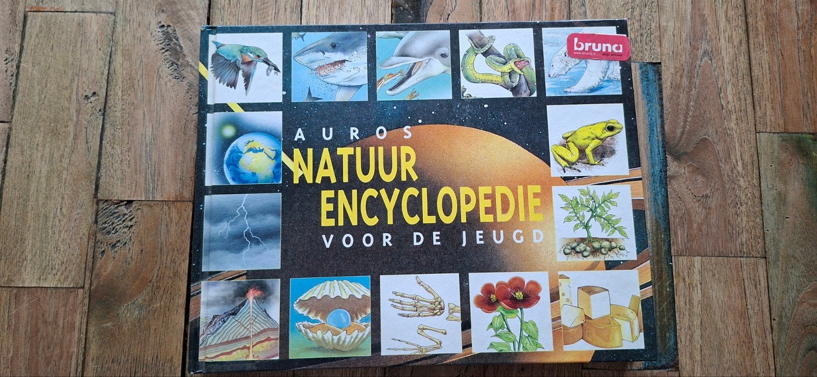 Auros Natuur Encyclopedie voor de Jeugd, Onbekend, Ophalen of Verzenden, Zo goed als nieuw, Los deel