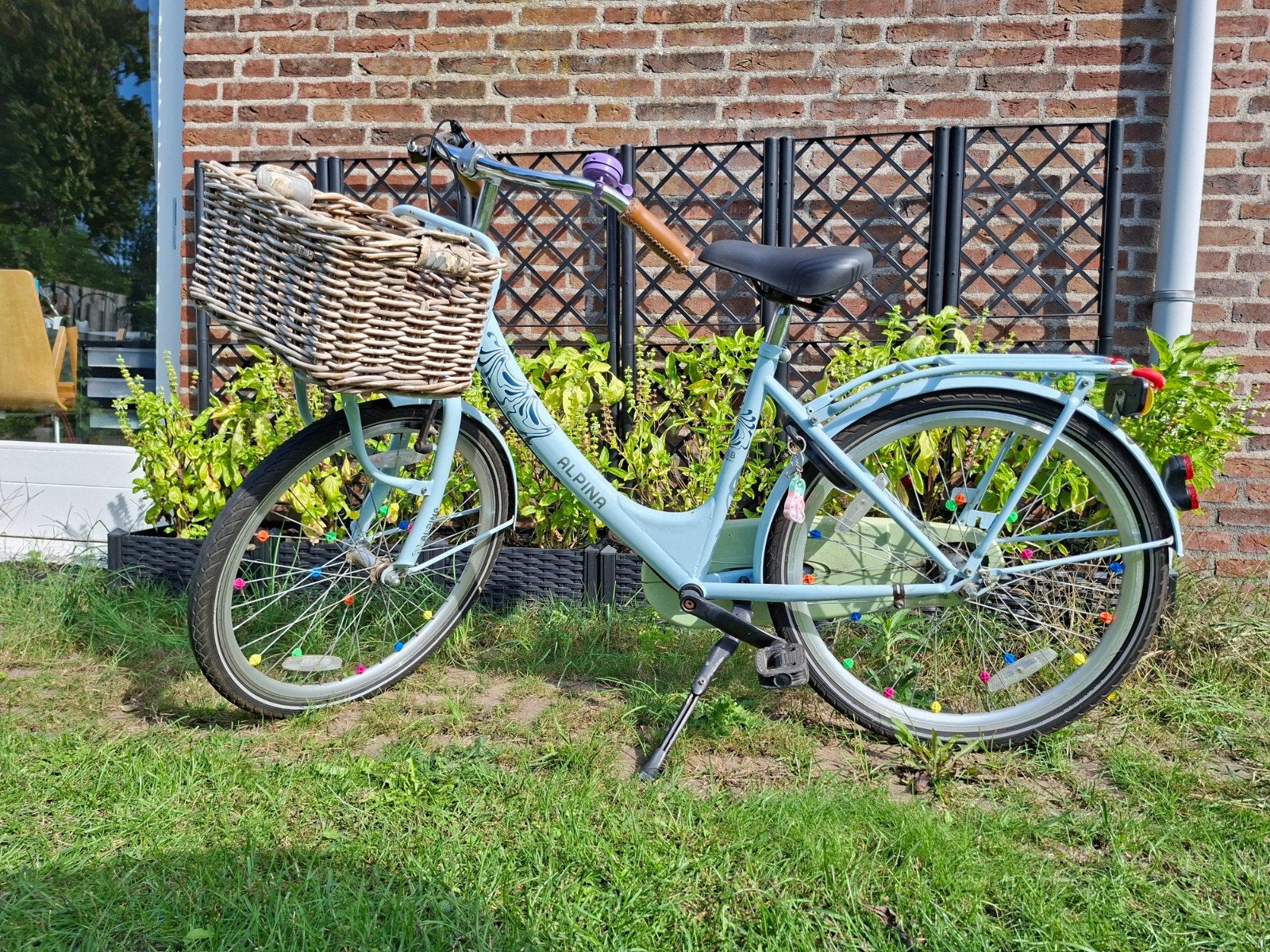 Alpina kinderfiets met mand - 24 inch, Fietsen en Brommers, Ophalen, Terugtraprem, Alpina, Handrem