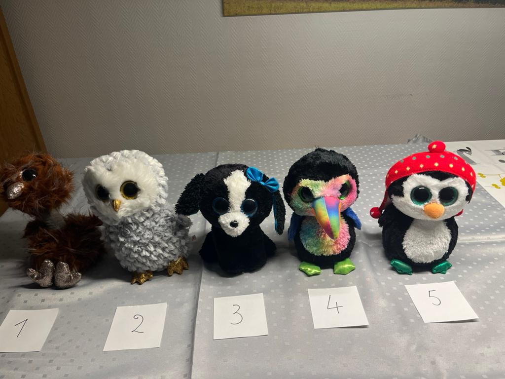 Ty Beanie Boos Verzameling - Diverse Knuffels, Ophalen of Verzenden, Meerkleurig, Klein (minder dan 20 cm), Ty