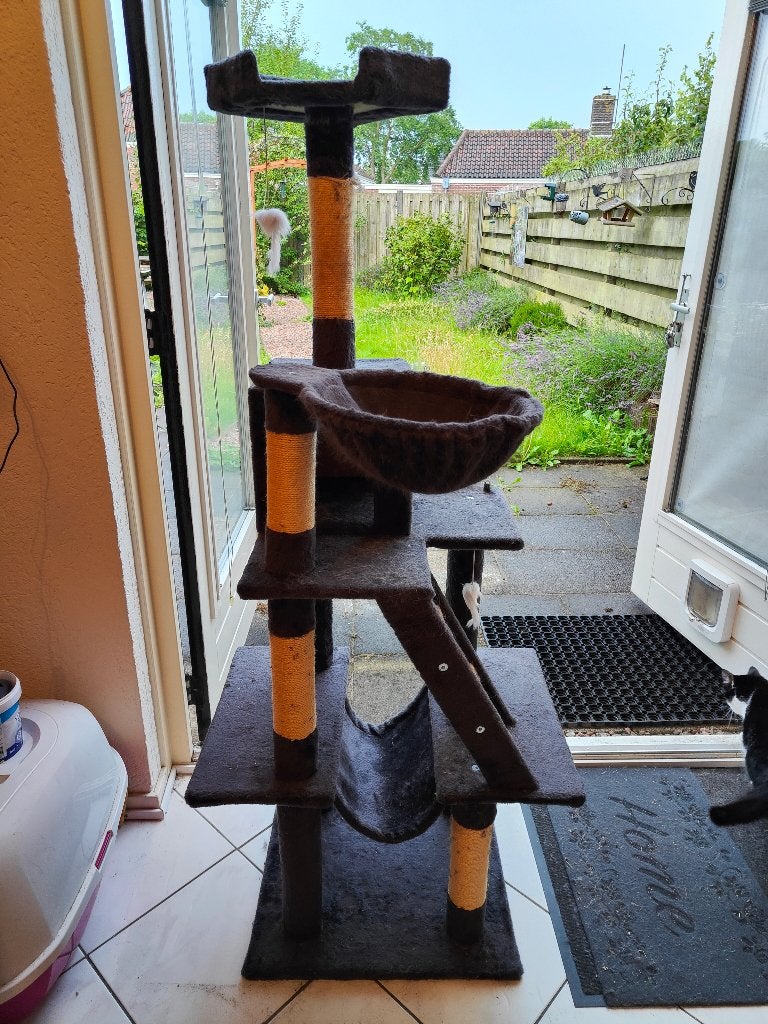 Krabpaal kittens, Ophalen, Gebruikt, Krabpaal