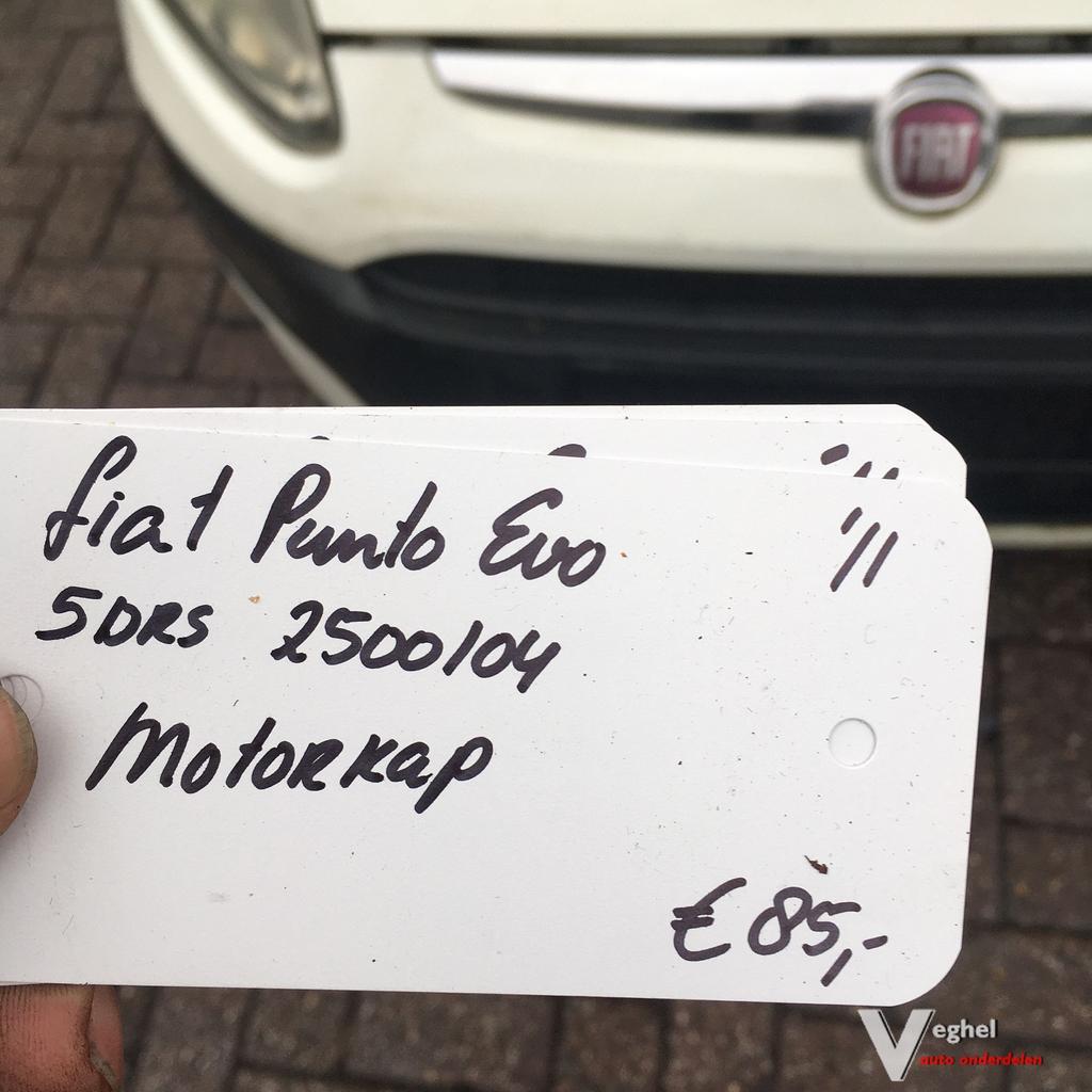 Fiat Punto EVO 5Drs 2011 2500104   Motorkap, Ophalen, Gebruikt, -, -