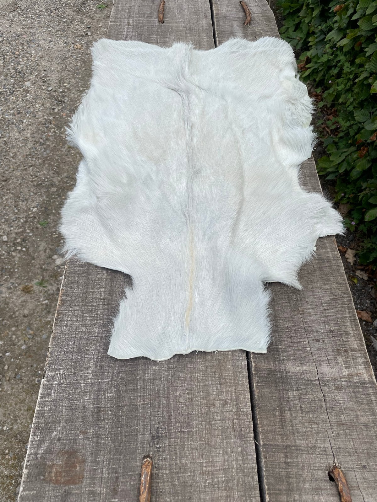 Natuurlijke geitenhuid - Diverse kleuren, Ophalen, Wit, 50 tot 100 cm, Overige vormen