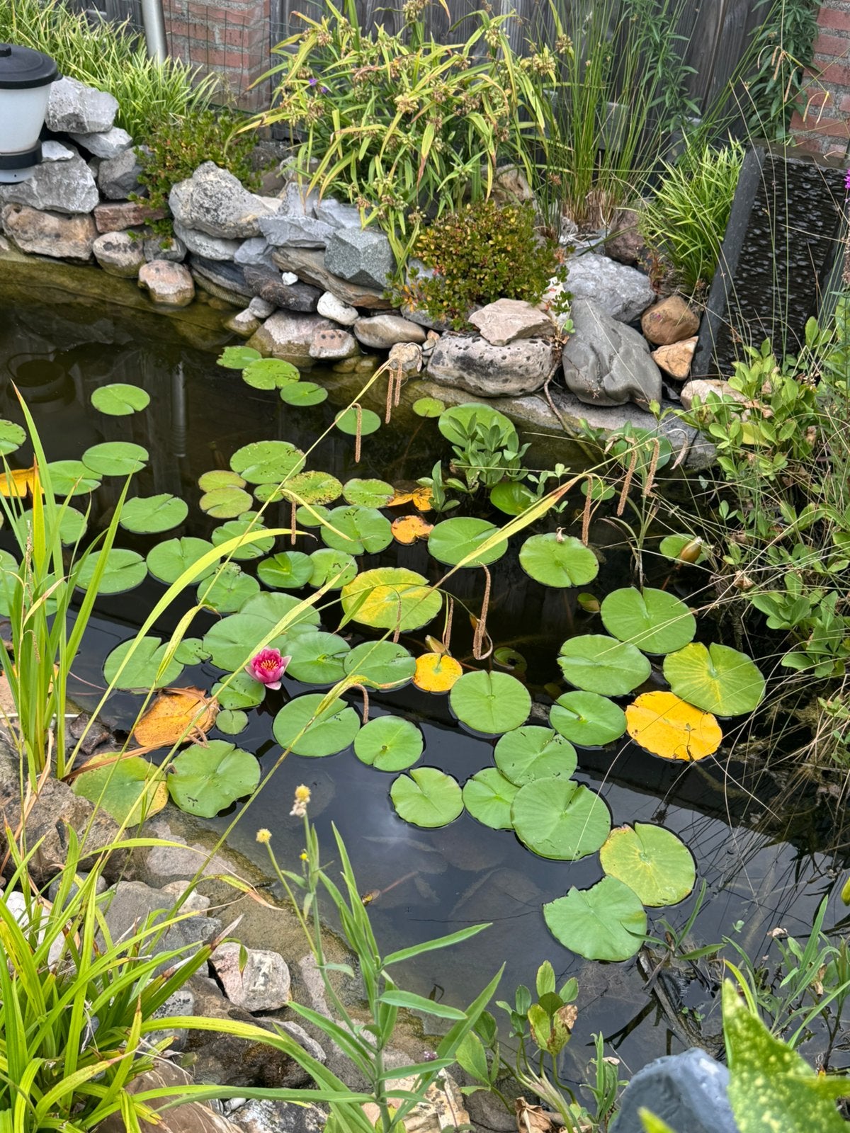 Complete vijver voor €50 incl pomp, voederautomaat, vissen, Tuin en Terras, Ophalen, Zo goed als nieuw