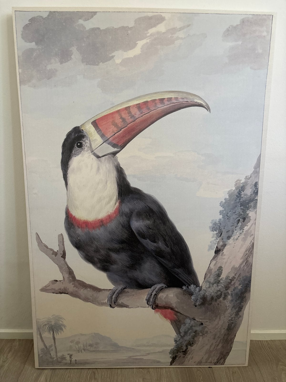 Groot schilderij van toekan - Tropische vogel, Handgeschilderd, Ophalen of Verzenden, Dieren, Olieverf