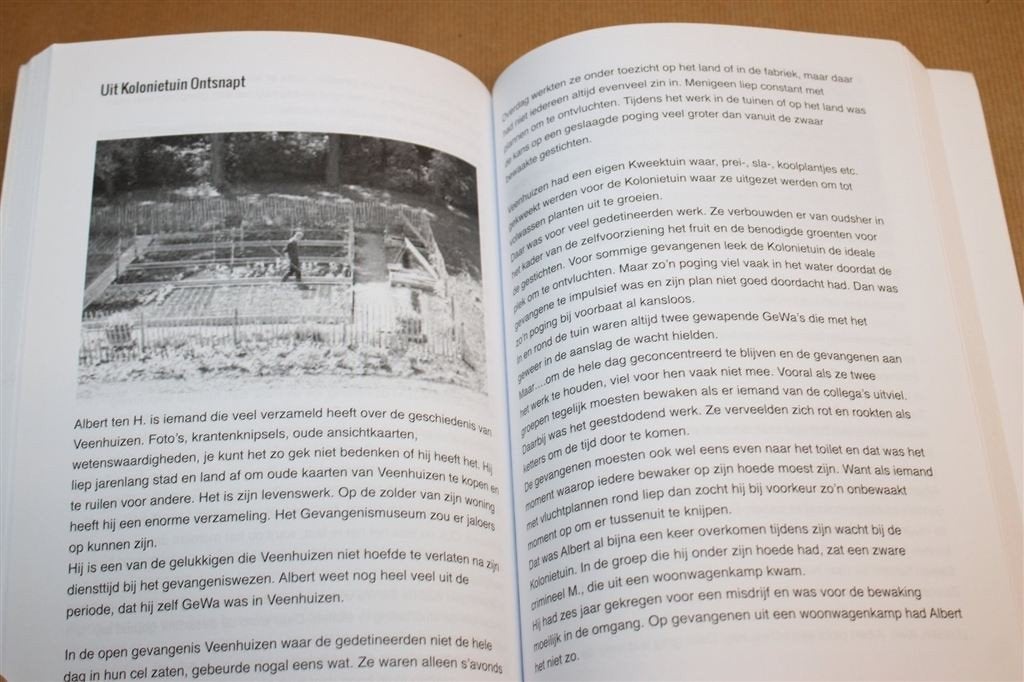 Bajesverhalen Veenhuizen — Gevangenisverhalen Van den Brink, Ophalen of Verzenden, Zo goed als nieuw