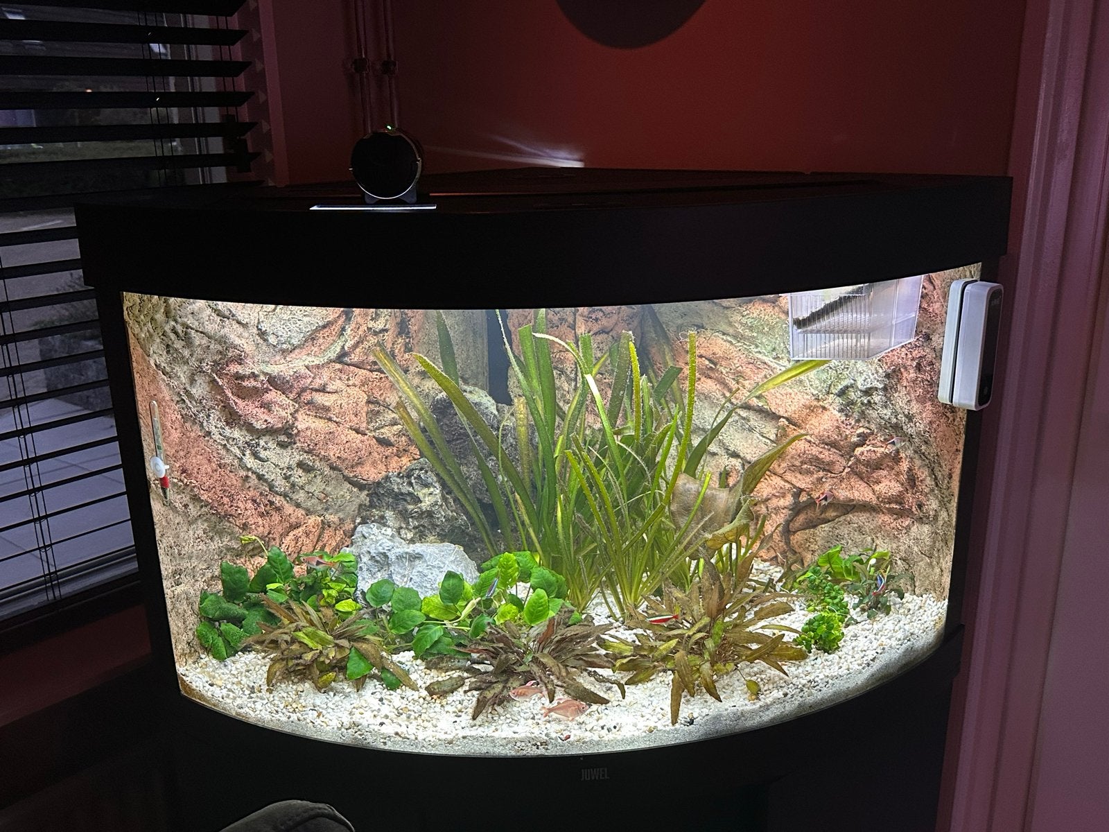 Juwel trigon 190 hoekaquarium, Dieren en Toebehoren, Ophalen of Verzenden, Zo goed als nieuw, Leeg aquarium