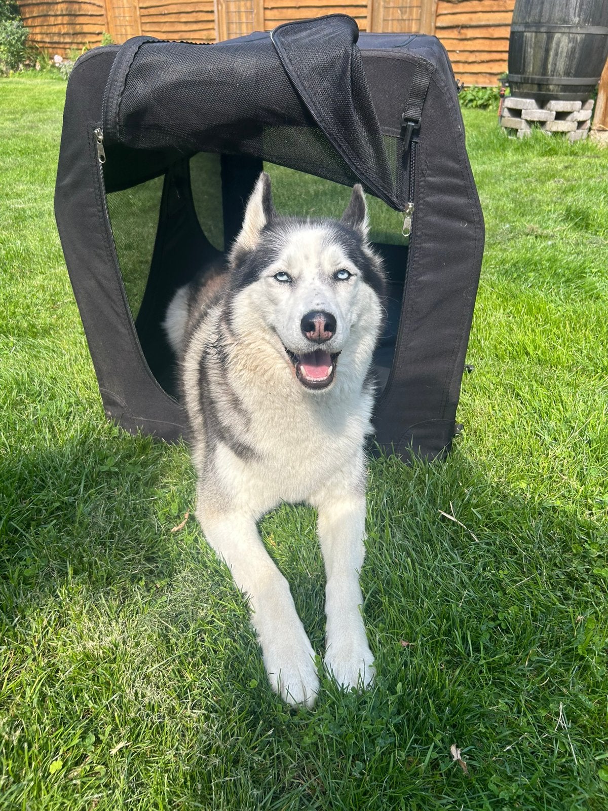 Inklapbare honden bench, Ophalen, Nieuw