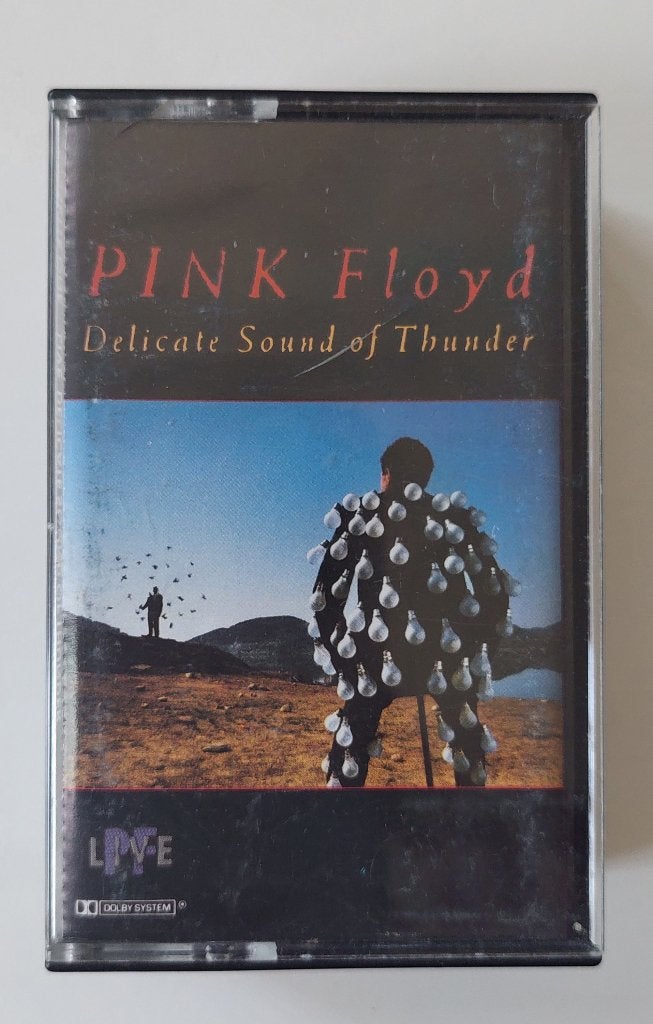 Pink Floyd Delicate sound of thunder - Cassette, Cd's en Dvd's, Cassettebandjes, Ophalen of Verzenden, Zo goed als nieuw, Pop