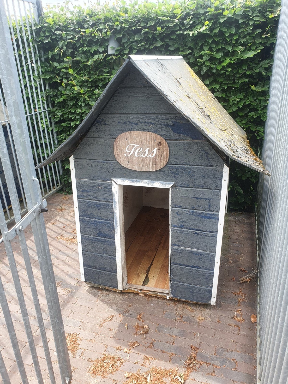 Hond binnen kooi, Dieren en Toebehoren, Hondenhokken, Ophalen