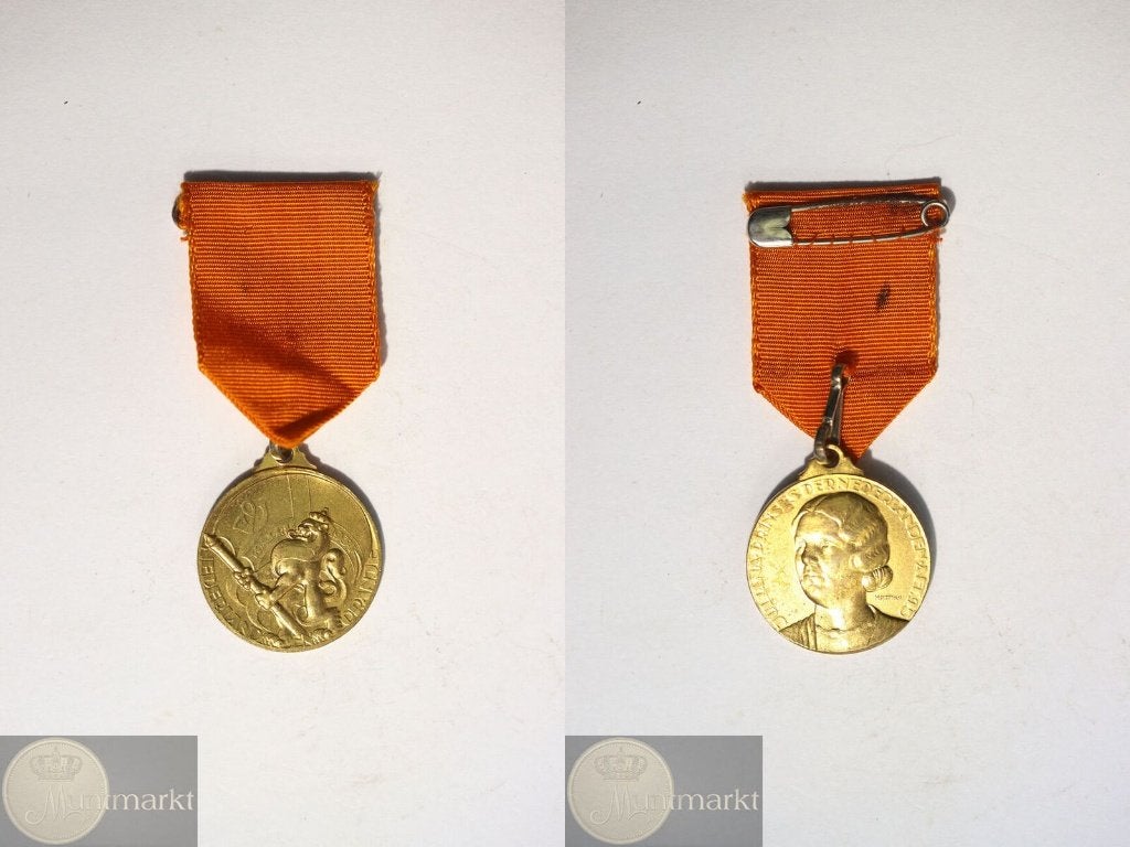 Draagpenning 1934 '25e Verjaardag Prinses Juliana', Ophalen of Verzenden, Overige materialen, Nederland