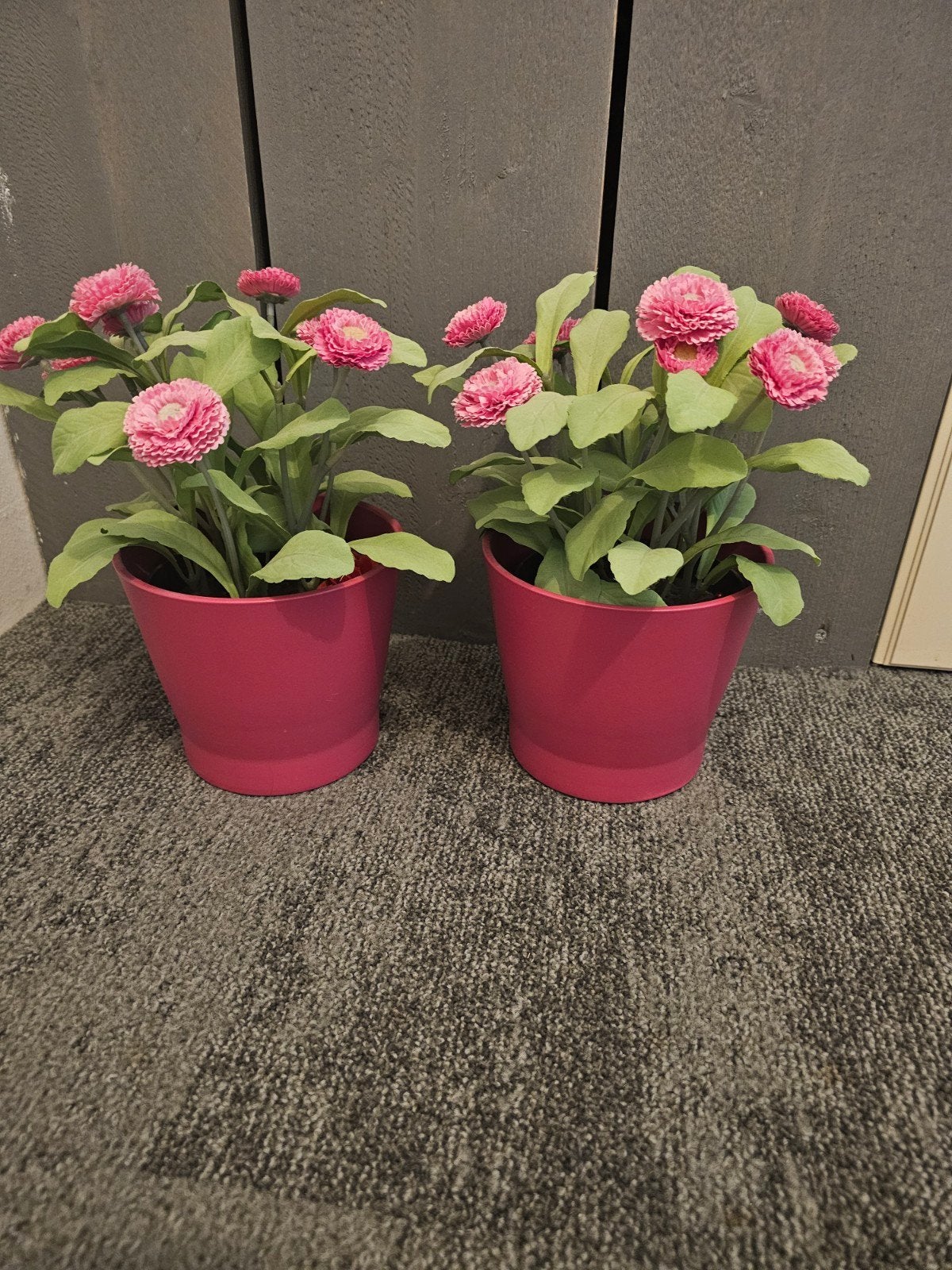 2 Roze Kunstbloemen in Potjes, Huis en Inrichting, Ophalen, Binnen, Gebruikt, Roze