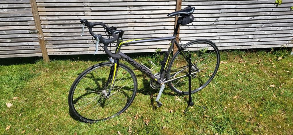 Racefiets, Gebruikt, Batavus, 51 tot 55 cm, Meer dan 20 versnellingen