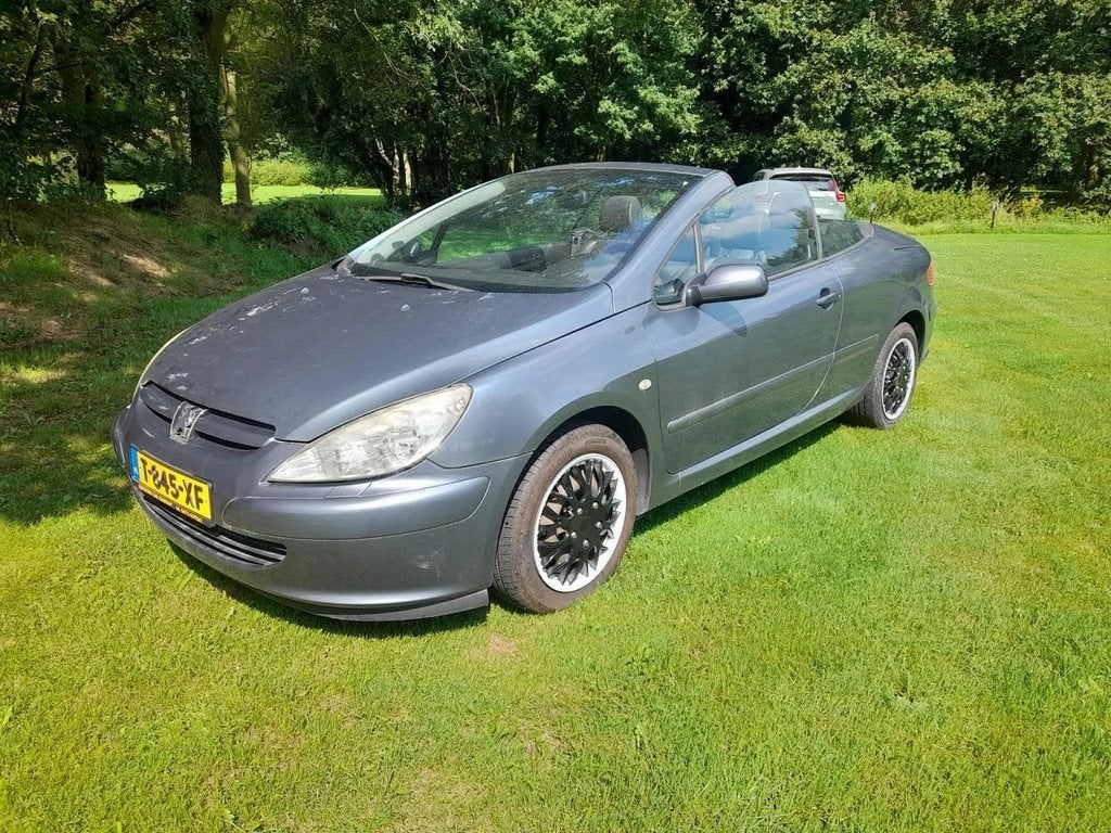 Peugeot 307 CC 2.0-16V, Auto's, Peugeot, Bedrijf, Te koop, ABS, Airbags, Airconditioning, Automatische klimaatregeling, Boordcomputer