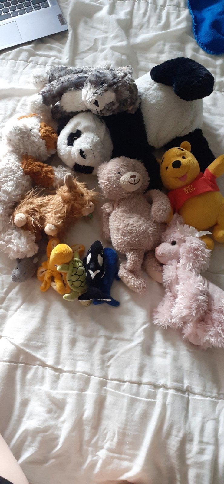 knuffels per stuk 2 euro of samen in 1 keer, Ophalen of Verzenden, Gebruikt, Kat