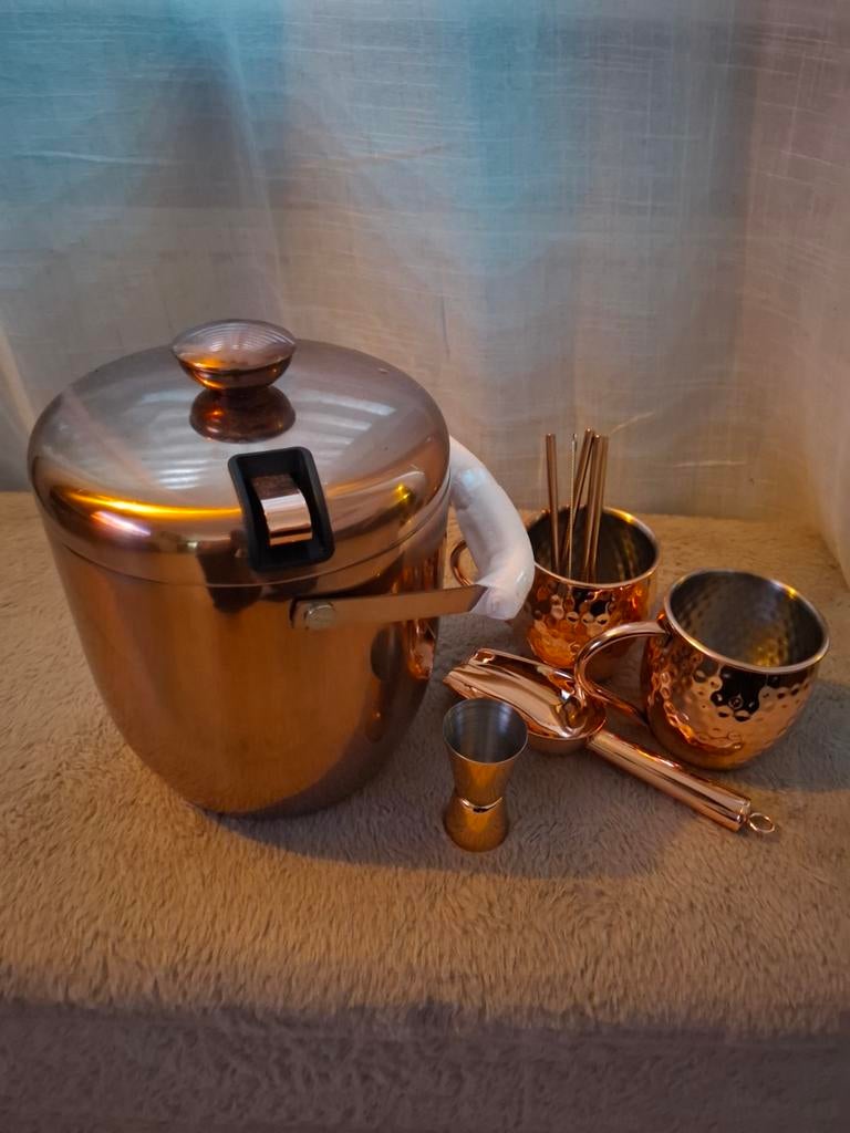 Cocktailset met ijskoeler, rose goud, nooit gebruikt, Huis en Inrichting, Overige typen, Nieuw, Ophalen of Verzenden, Roze