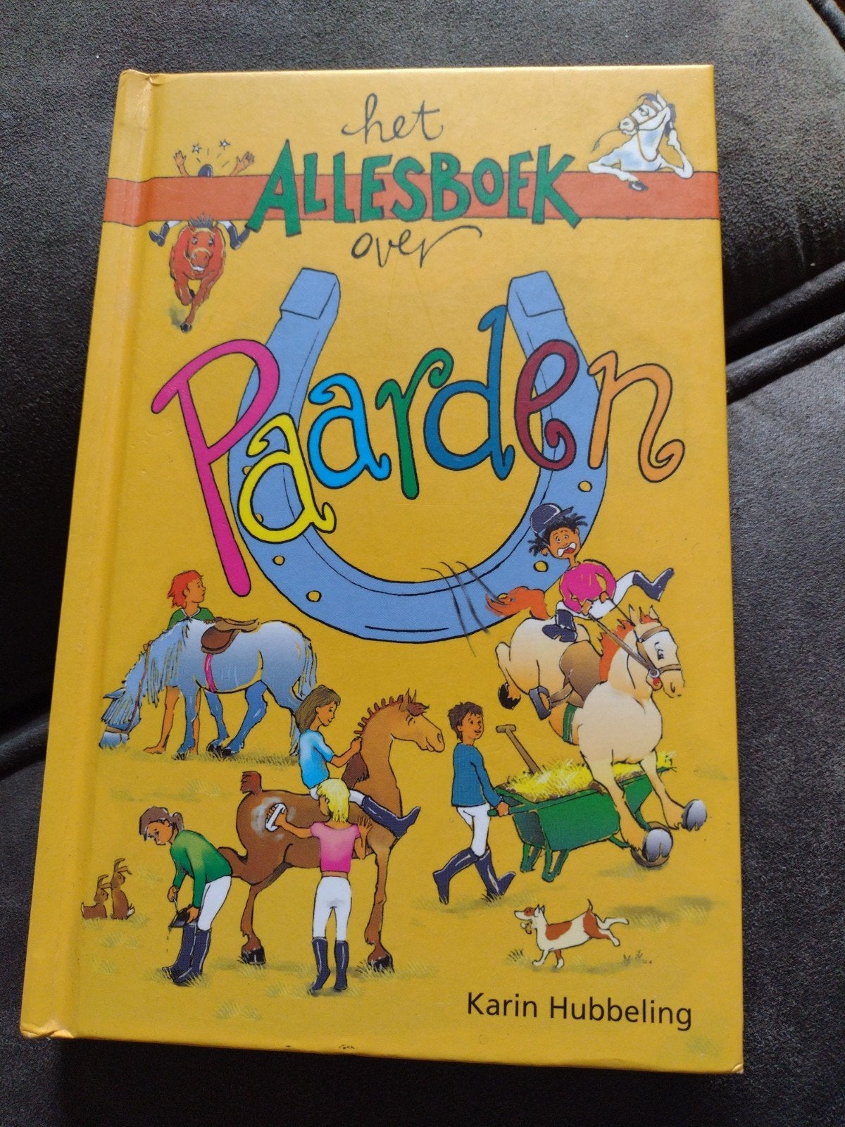 K. Hubbeling - Het Allesboek over Paarden, Boeken, Fictie algemeen, Ophalen of Verzenden, Zo goed als nieuw, K. Hubbeling