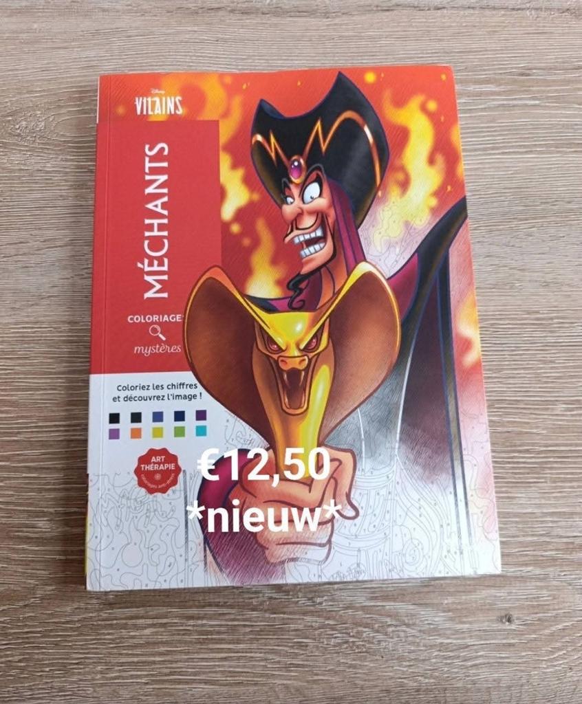 Disney kleuren op nummer, Ophalen of Verzenden, Zo goed als nieuw