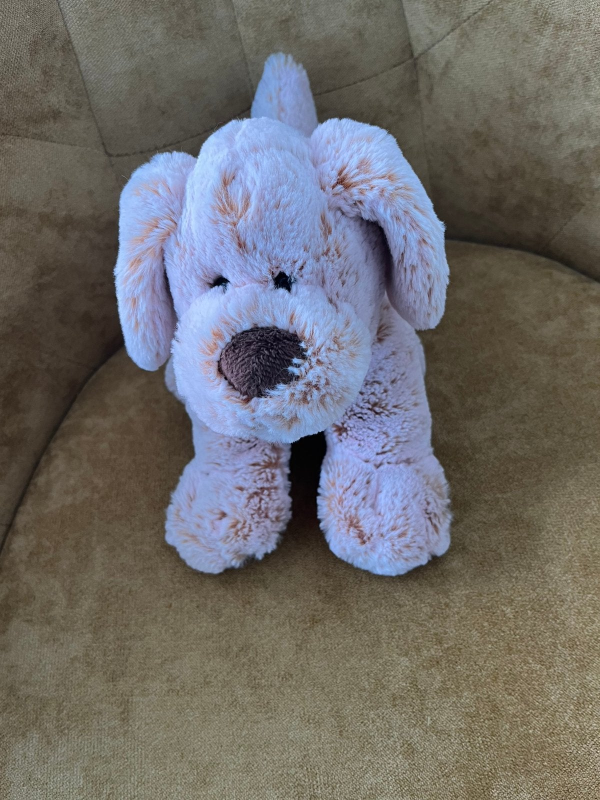 Anna Club Pluche roze hond, Kinderen en Baby's, Speelgoed | Knuffels en Pluche, Ophalen of Verzenden, Zo goed als nieuw, Hond