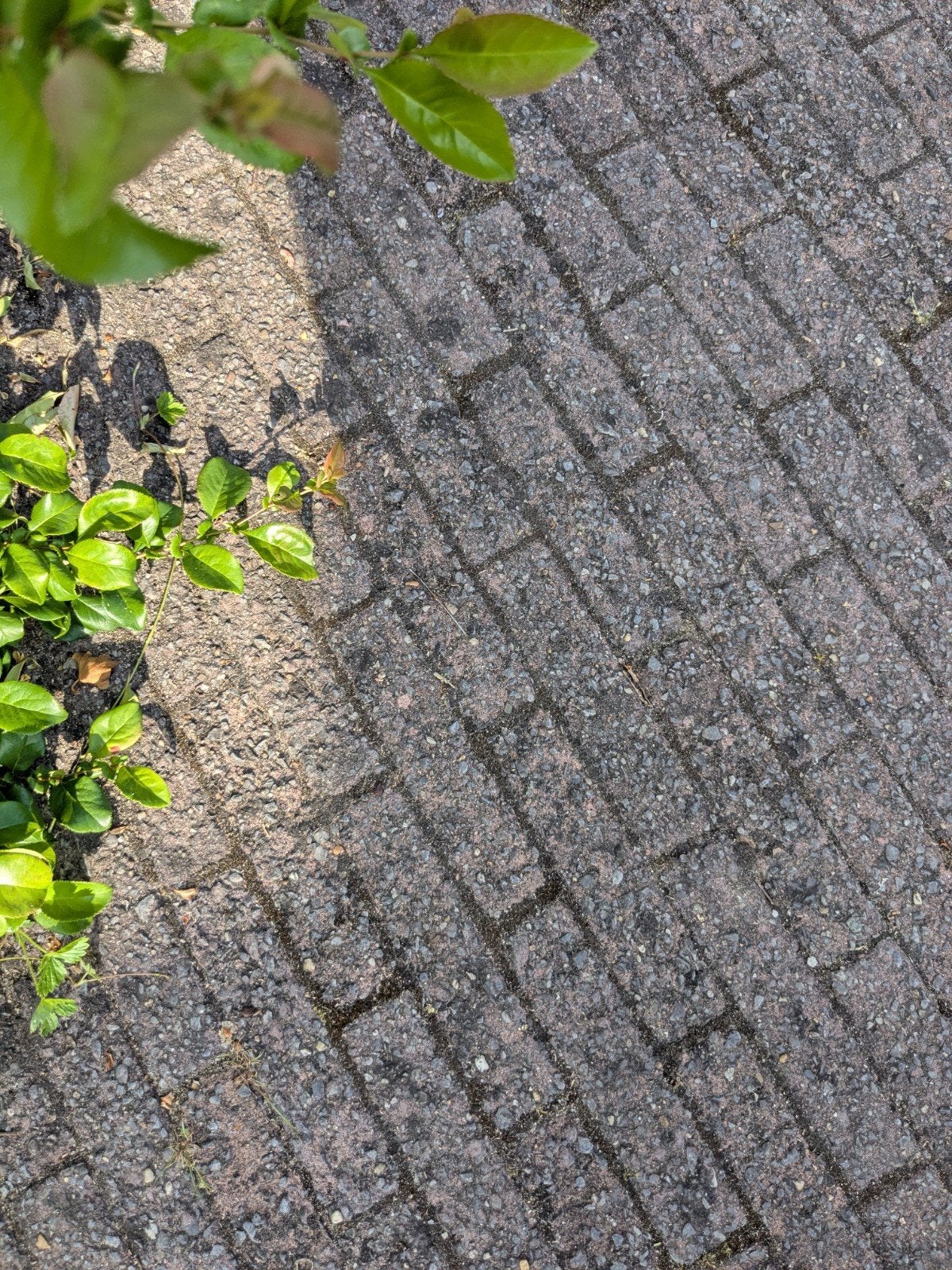 Betonnen klinkers/waaltjes - ca. 15 m², Gebruikt, Klinkers, Ophalen of Verzenden, 10 m² of meer