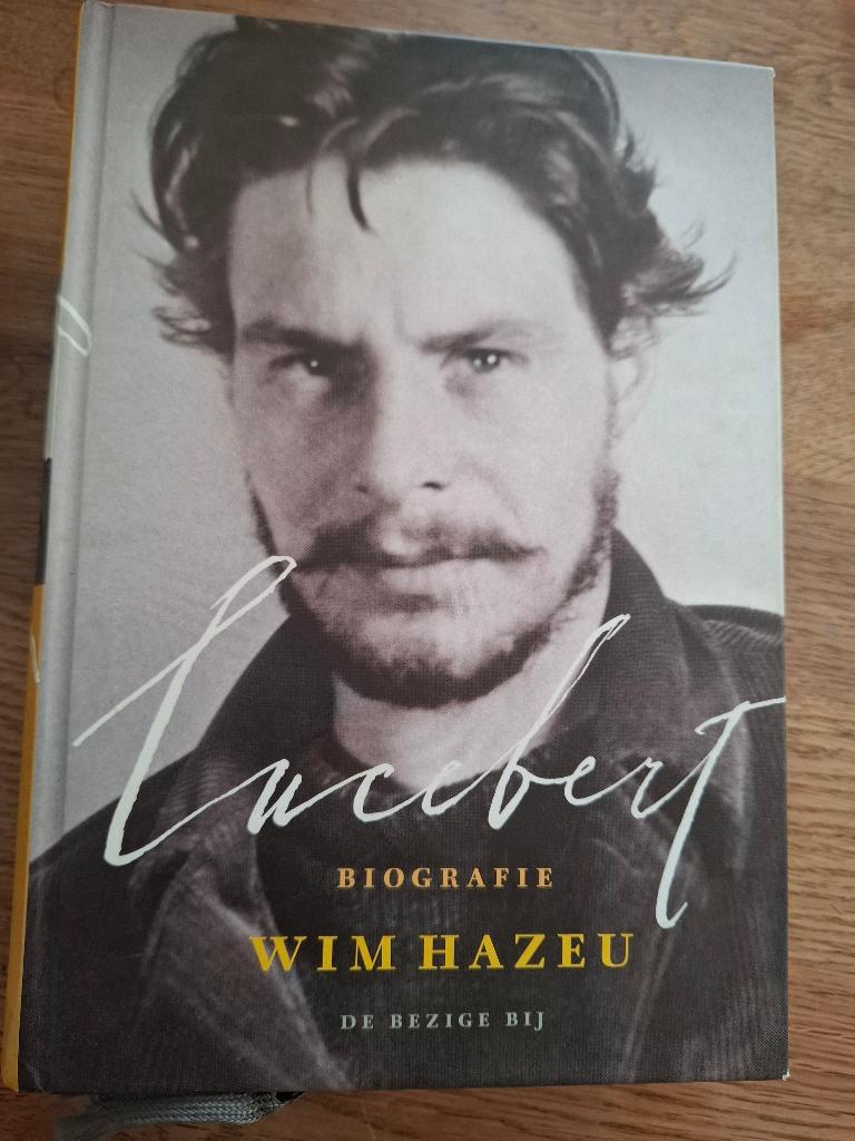 Boeken, Ophalen of Verzenden, Zo goed als nieuw, Schilder- en Tekenkunst, Wim Hazeu