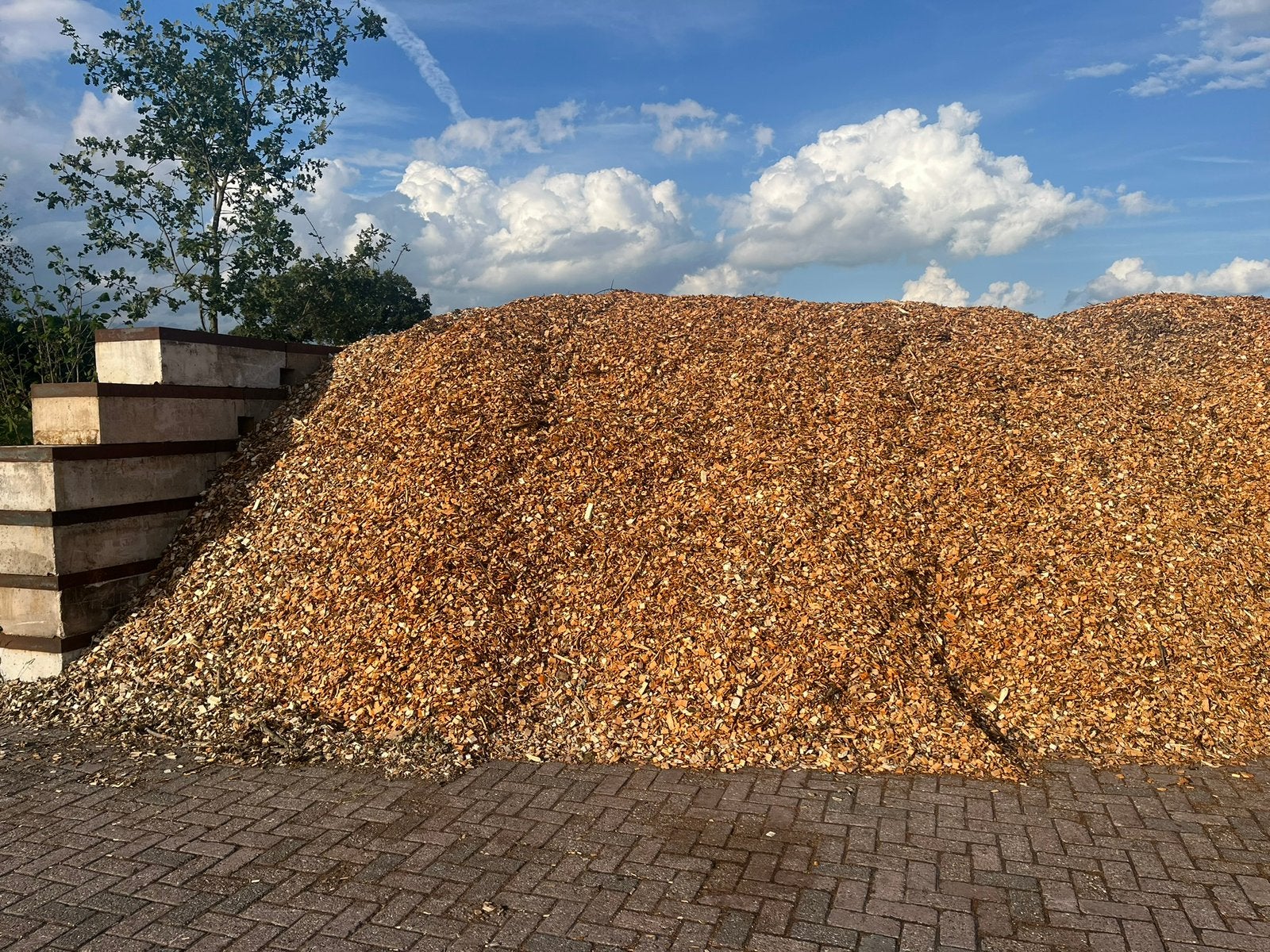 Hout snippers, Ophalen, Nieuw, Bruin, Overige typen