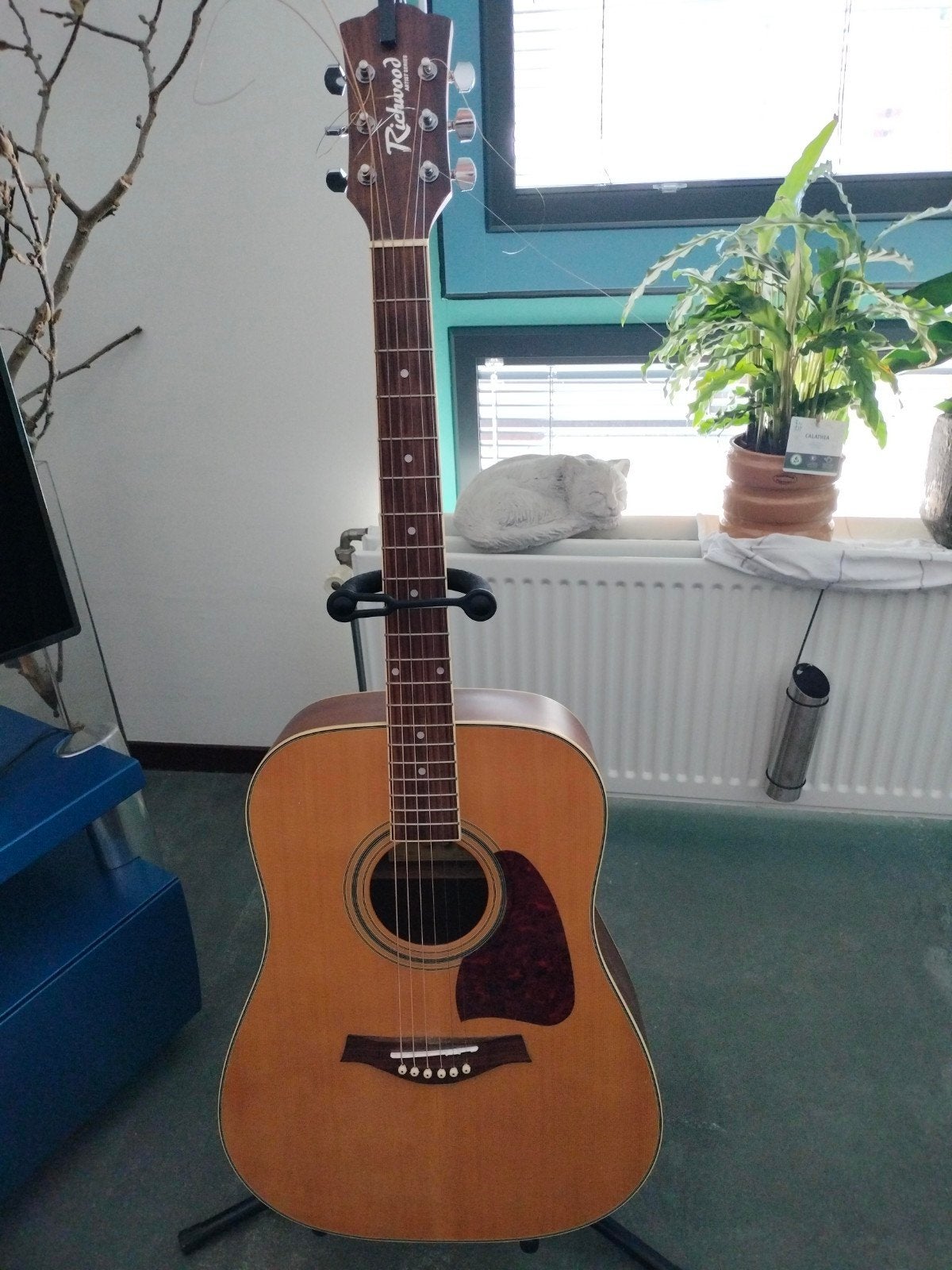 Richwood Artist Series D-16 Western gitaar, Ophalen, Zo goed als nieuw, Western- of Steelstringgitaar