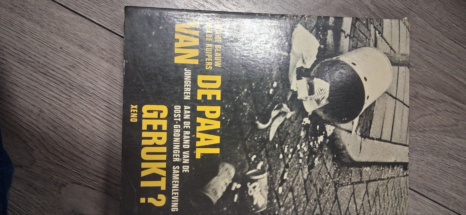 De Paal Van Jongeren Gerukt? - Boek over Oost-Groningen