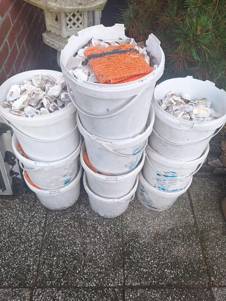 partij oesterschelpen voor in het filter, Tuin en Terras, Ophalen, Gebruikt, Vijverfilter