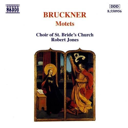BRUCKNER Motets CD JONES NAXOS NIEUWSTAAT, Cd's en Dvd's, Cd's | Klassiek, Ophalen of Verzenden, Romantiek, Zo goed als nieuw