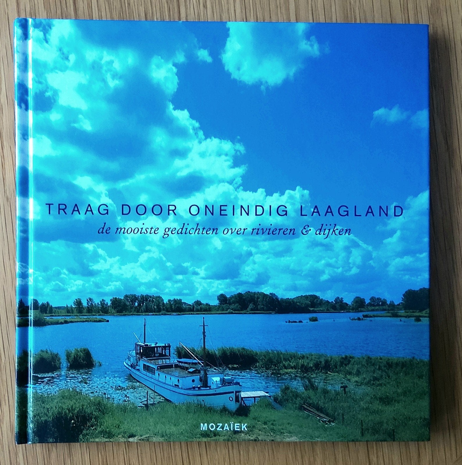Traag door oneindig laagland. De mooiste gedichten., Boeken, Ophalen of Verzenden, Zo goed als nieuw