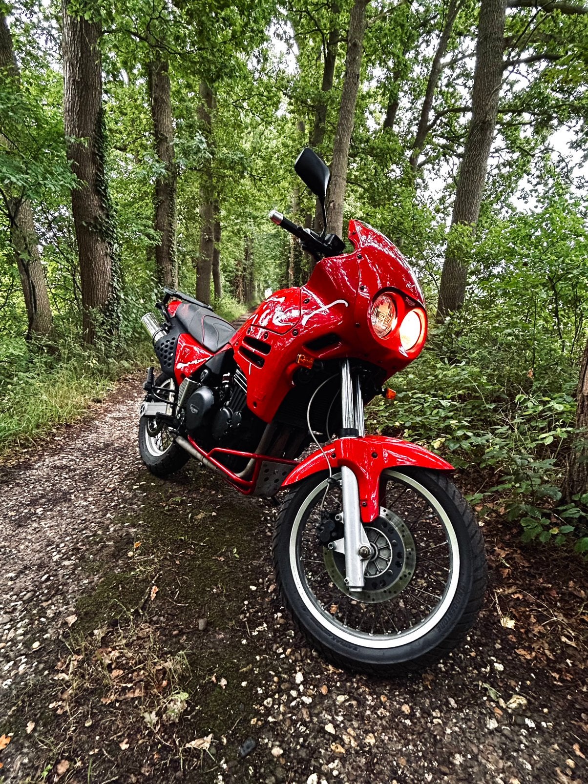 Triumph Tiger 885 / 900 Steamer. Inruil/ruil mogelijk!