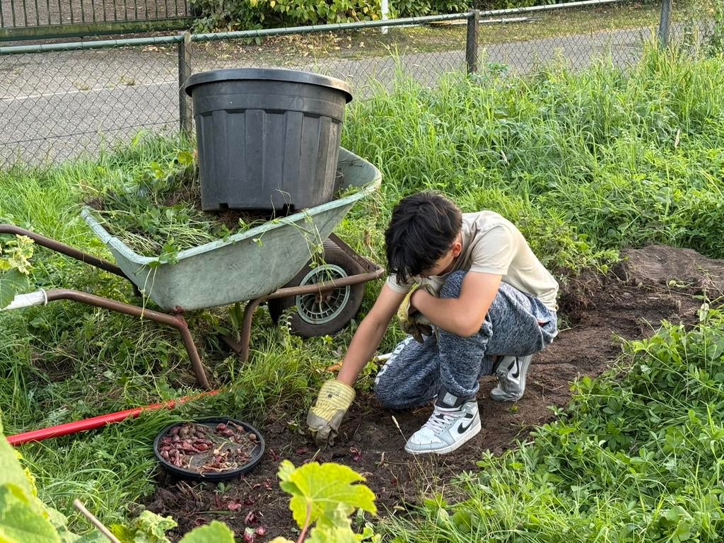 Hukp in de tuin gevraagd, Vacatures, Starter, Overige vormen, LBO / VMBO, Geschikt als bijbaan