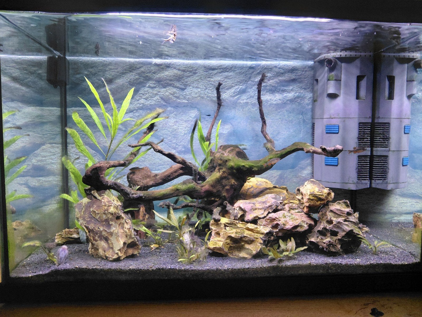 Superfish 70 aquarium, Dieren en Toebehoren, Ophalen, Zo goed als nieuw, Superfish
