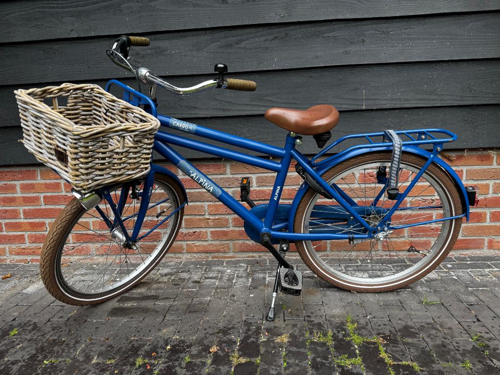 Alpina cargo Jongens fiets 22 inch, Fietsen en Brommers, Fietsen | Jongens, Ophalen, Terugtraprem, 22 inch, Alpina