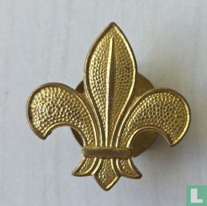 Knoopspeld - Scouting, Ophalen of Verzenden, Zo goed als nieuw, Overige onderwerpen, Speldje of Pin