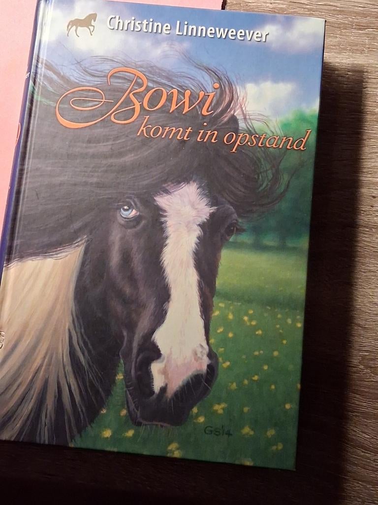 Christine Linneweever boek, Boeken, Ophalen, Gelezen, Christine Linneweever, Fictie